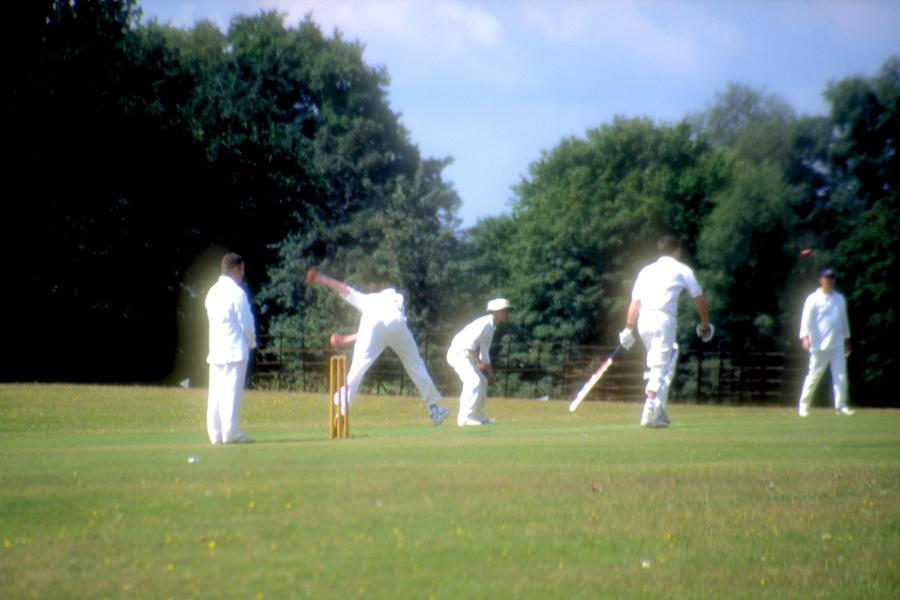 Peace for Mankind Dianne Irene